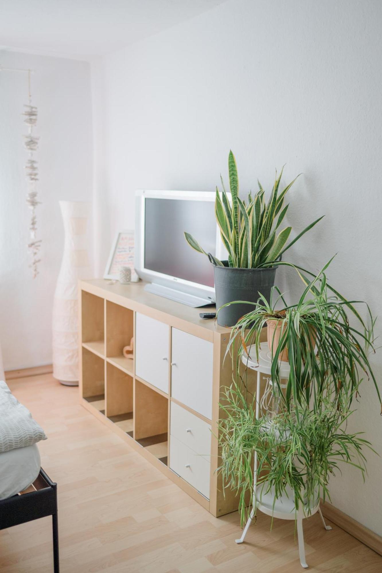 Buchlindenweg - Zimmer & Ferienwohnung Breitscheid  Exteriér fotografie